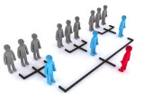 Organization Organization